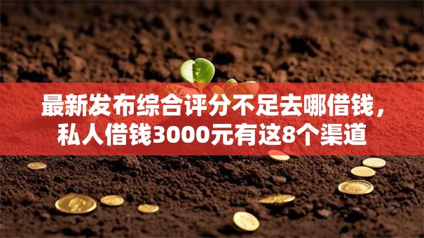 最新发布综合评分不足去哪借钱，私人借钱3000元有这8个渠道