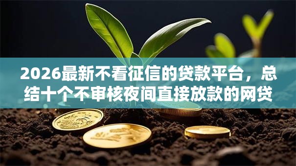 2026最新不看征信的贷款平台，总结十个不审核夜间直接放款的网贷软件！