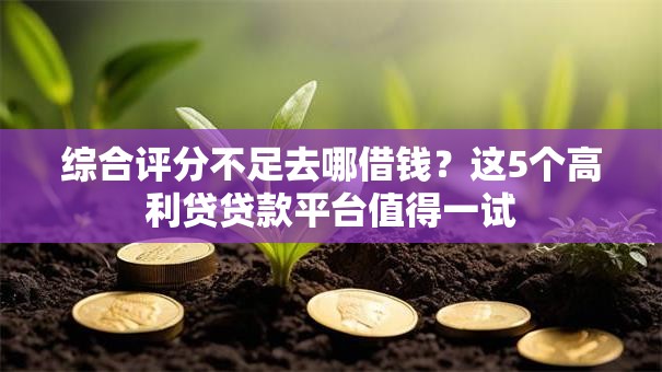 综合评分不足去哪借钱?这5个高利贷贷款平台值得一试 综合评分不足去哪借钱?这5个高利贷贷款平台值得一试