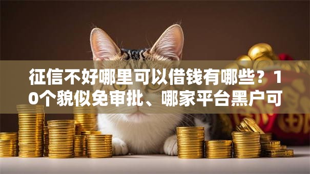 征信不好哪里可以借钱有哪些？10个貌似免审批、哪家平台黑户可以借钱合集