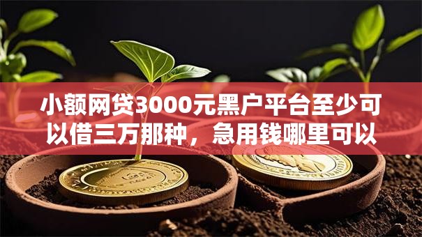 小额网贷3000元黑户平台至少可以借三万那种，急用钱哪里可以快速借到的5个平台介绍