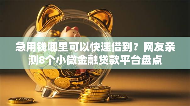 急用钱哪里可以快速借到？网友亲测8个小微金融贷款平台盘点