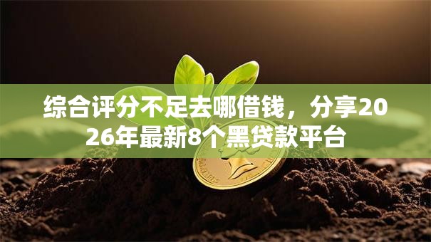 综合评分不足去哪借钱，分享2026年最新8个黑贷款平台