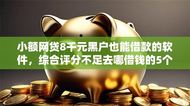 小额网贷8千元黑户也能借款的软件，综合评分不足去哪借钱的5个平台介绍