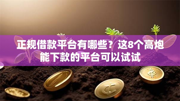 正规借款平台有哪些？这8个高炮能下款的平台可以试试