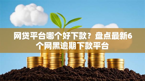 网贷平台哪个好下款？盘点最新6个网黑逾期下款平台