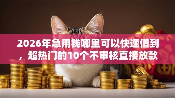 2026年急用钱哪里可以快速借到，超热门的10个不审核直接放款500的平台推荐