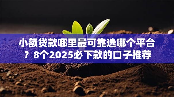 小额贷款哪里最可靠选哪个平台?8个2025必下款的口子推荐 小额贷款哪里最可靠选哪个平台?8个2025必下款的口子推荐