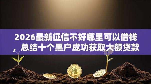 2026最新征信不好哪里可以借钱,总结十个黑户成功获取大额贷款的口子! 2026最新征信不好哪里可以借钱,总结十个黑户成功获取大额贷款的口子!