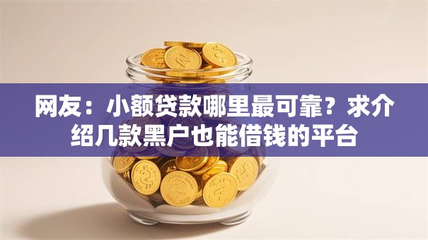 网友:小额贷款哪里最可靠?求介绍几款黑户也能借钱的平台 网友:小额贷款哪里最可靠?求介绍几款黑户也能借钱的平台