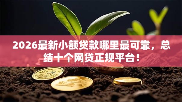 2026最新小额贷款哪里最可靠,总结十个网贷正规平台! 2026最新小额贷款哪里最可靠,总结十个网贷正规平台!