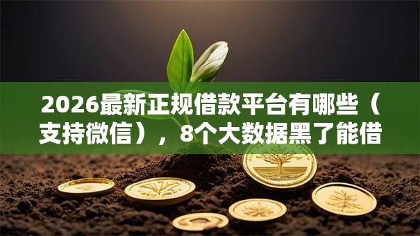 2026最新正规借款平台有哪些（支持微信），8个大数据黑了能借款的平台无私分享