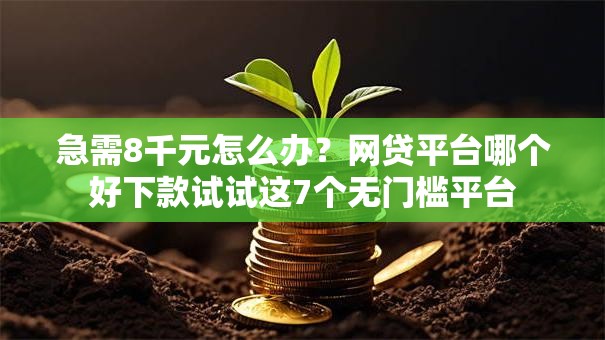 急需8千元怎么办？网贷平台哪个好下款试试这7个无门槛平台