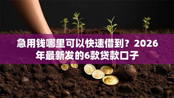 急用钱哪里可以快速借到?2026年最新发的6款贷款口子 急用钱哪里可以快速借到?2026年最新发的6款贷款口子