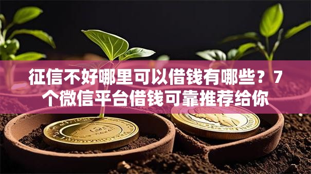 征信不好哪里可以借钱有哪些？7个微信平台借钱可靠推荐给你