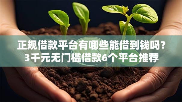 正规借款平台有哪些能借到钱吗？3千元无门槛借款6个平台推荐