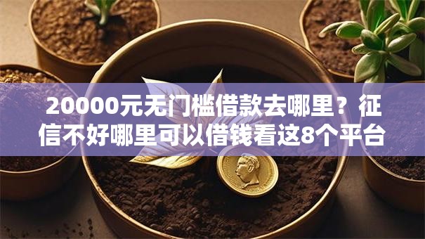 20000元无门槛借款去哪里？征信不好哪里可以借钱看这8个平台