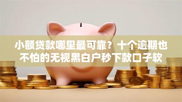 小额贷款哪里最可靠?十个逾期也不怕的无视黑白户秒下款口子软件 小额贷款哪里最可靠?十个逾期也不怕的无视黑白户秒下款口子软件