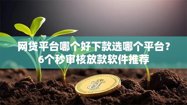 网贷平台哪个好下款选哪个平台？6个秒审核放款软件推荐