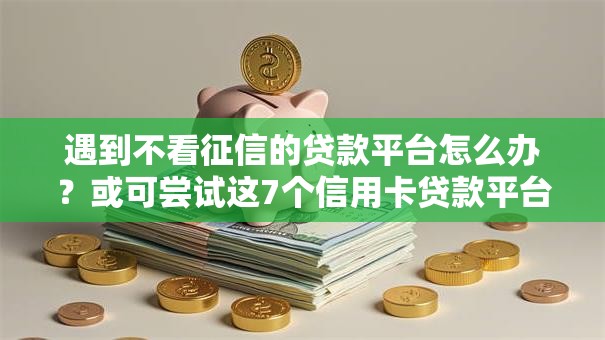 遇到不看征信的贷款平台怎么办?或可尝试这7个信用卡贷款平台 遇到不看征信的贷款平台怎么办?或可尝试这7个信用卡贷款平台