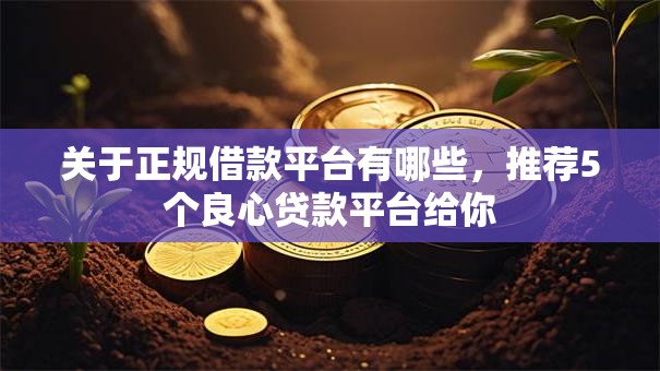 关于正规借款平台有哪些，推荐5个良心贷款平台给你