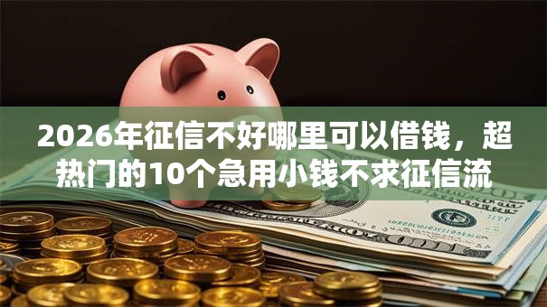 2026年征信不好哪里可以借钱，超热门的10个急用小钱不求征信流水轻松贷的口子推荐