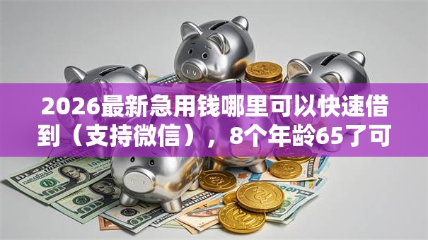 2026最新急用钱哪里可以快速借到（支持微信），8个年龄65了可以申请的网贷平台无私分享