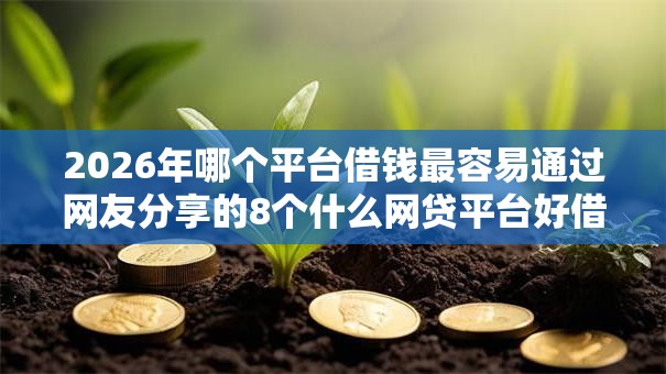 2026年哪个平台借钱最容易通过网友分享的8个什么网贷平台好借钱我觉得不错！