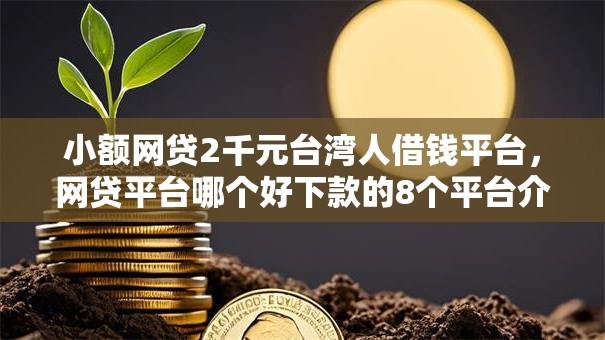 小额网贷2千元台湾人借钱平台，网贷平台哪个好下款的8个平台介绍