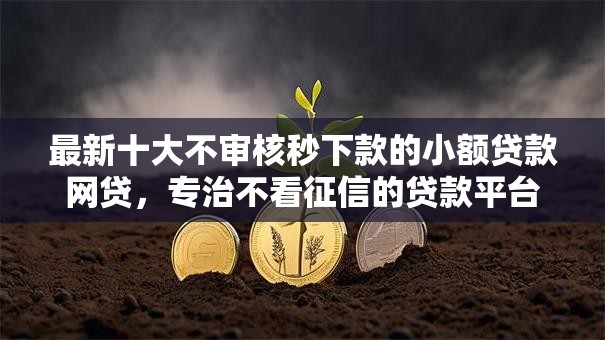 最新十大不审核秒下款的小额贷款网贷，专治不看征信的贷款平台