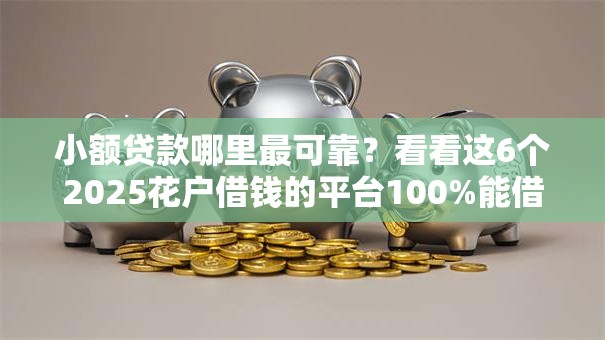 小额贷款哪里最可靠？看看这6个2025花户借钱的平台100%能借到怎么样