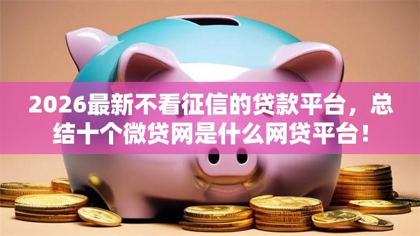 2026最新不看征信的贷款平台,总结十个微贷网是什么网贷平台! 2026最新不看征信的贷款平台,总结十个微贷网是什么网贷平台!