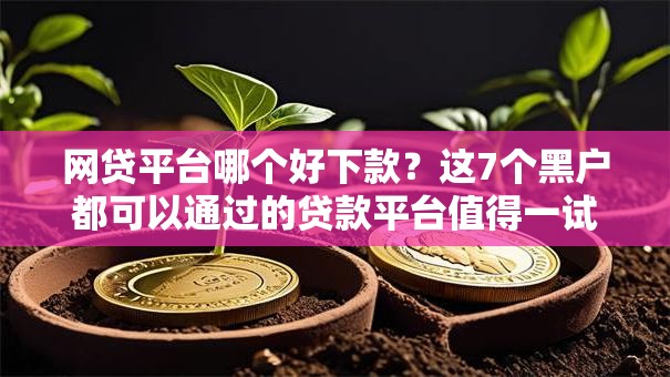 网贷平台哪个好下款？这7个黑户都可以通过的贷款平台值得一试