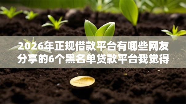 2026年正规借款平台有哪些网友分享的6个黑名单贷款平台我觉得不错！
