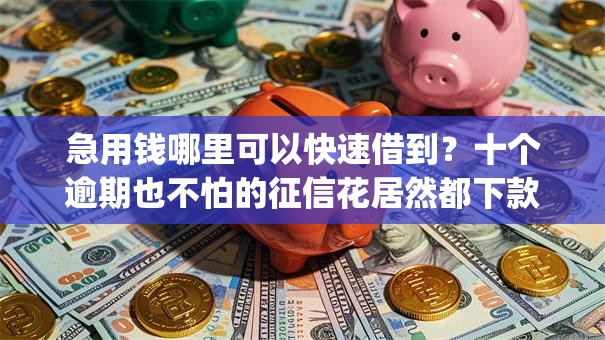 急用钱哪里可以快速借到？十个逾期也不怕的征信花居然都下款了的app