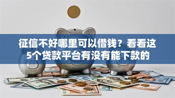 征信不好哪里可以借钱?看看这5个贷款平台有没有能下款的 征信不好哪里可以借钱?看看这5个贷款平台有没有能下款的