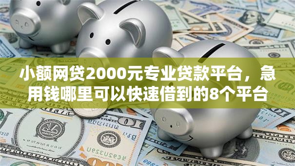 小额网贷2000元专业贷款平台，急用钱哪里可以快速借到的8个平台介绍