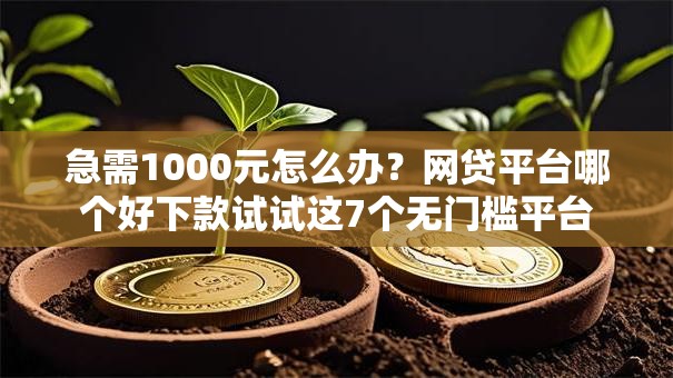 急需1000元怎么办？网贷平台哪个好下款试试这7个无门槛平台