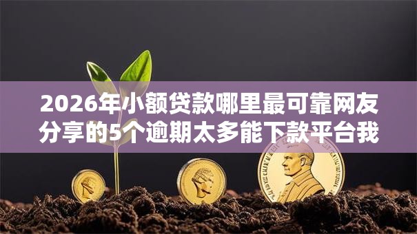 2026年小额贷款哪里最可靠网友分享的5个逾期太多能下款平台我觉得不错! 2026年小额贷款哪里最可靠网友分享的5个逾期太多能下款平台我觉得不错!