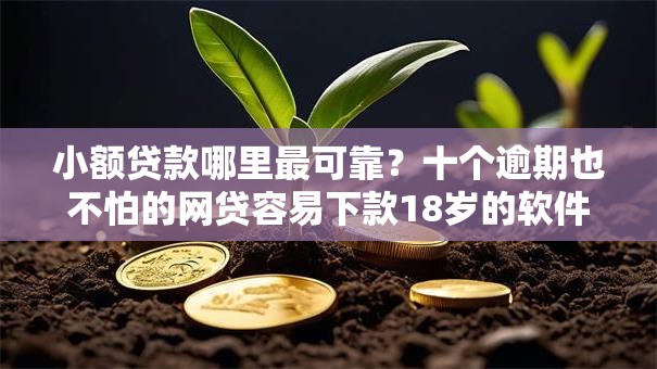 小额贷款哪里最可靠？十个逾期也不怕的网贷容易下款18岁的软件