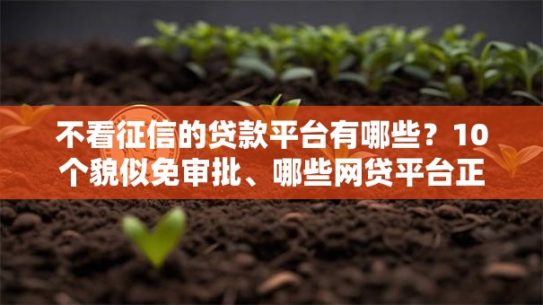 不看征信的贷款平台有哪些？10个貌似免审批、哪些网贷平台正规合集