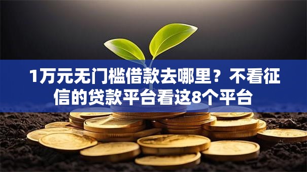 1万元无门槛借款去哪里？不看征信的贷款平台看这8个平台
