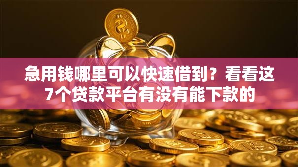 急用钱哪里可以快速借到?看看这7个贷款平台有没有能下款的 急用钱哪里可以快速借到?看看这7个贷款平台有没有能下款的