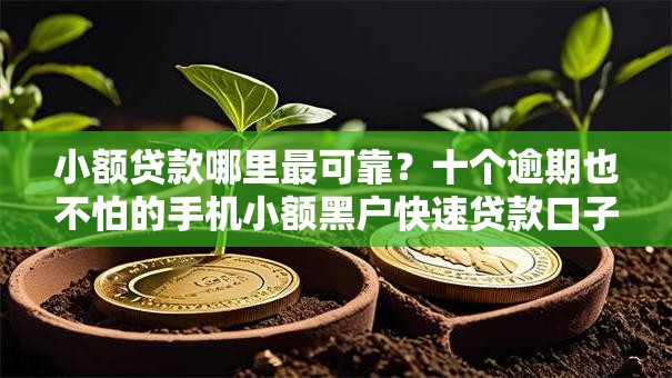 小额贷款哪里最可靠?十个逾期也不怕的手机小额黑户快速贷款口子 小额贷款哪里最可靠?十个逾期也不怕的手机小额黑户快速贷款口子