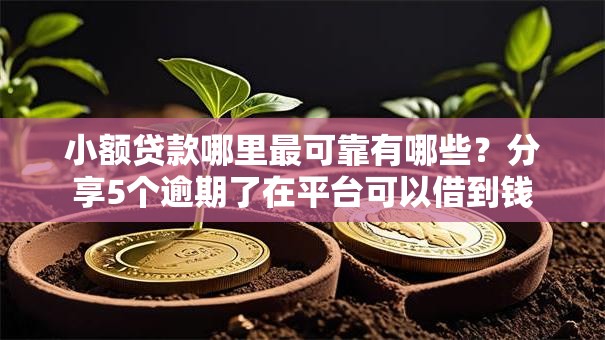 小额贷款哪里最可靠有哪些?分享5个逾期了在平台可以借到钱 小额贷款哪里最可靠有哪些?分享5个逾期了在平台可以借到钱