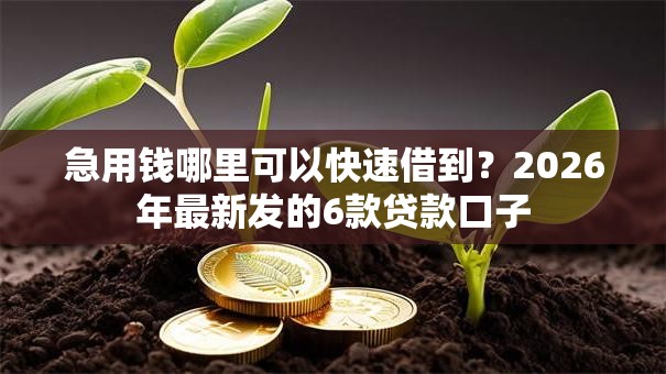 急用钱哪里可以快速借到?2026年最新发的6款贷款口子 急用钱哪里可以快速借到?2026年最新发的6款贷款口子