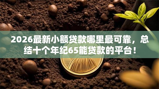 2026最新小额贷款哪里最可靠，总结十个年纪65能贷款的平台！