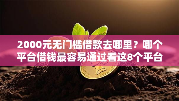 2000元无门槛借款去哪里？哪个平台借钱最容易通过看这8个平台
