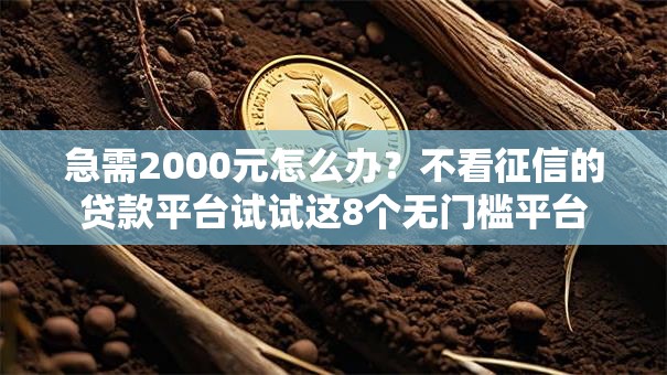 急需2000元怎么办？不看征信的贷款平台试试这8个无门槛平台