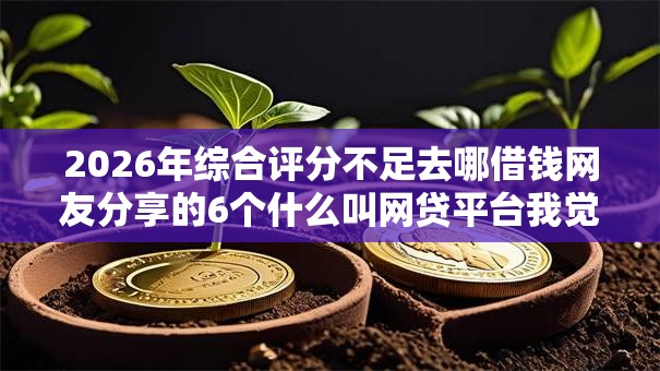 2026年综合评分不足去哪借钱网友分享的6个什么叫网贷平台我觉得不错！